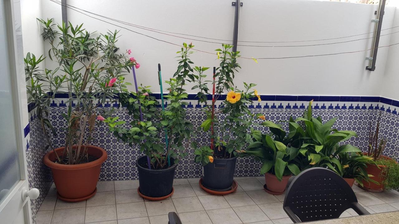 Apartamento Callejuela Las Flores Algodonales Exteriér fotografie